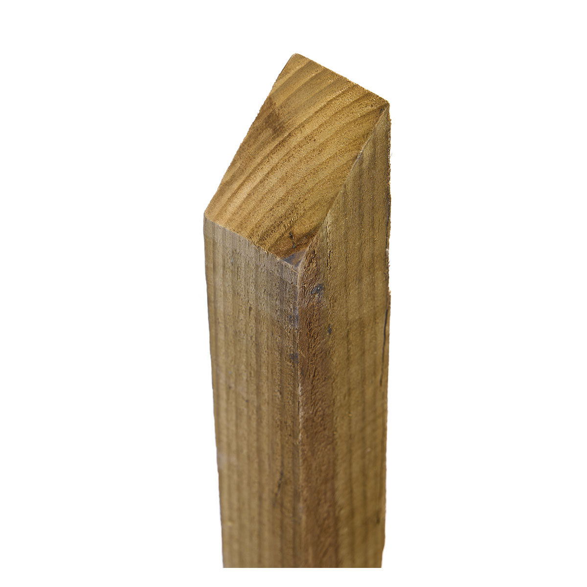 stump 2